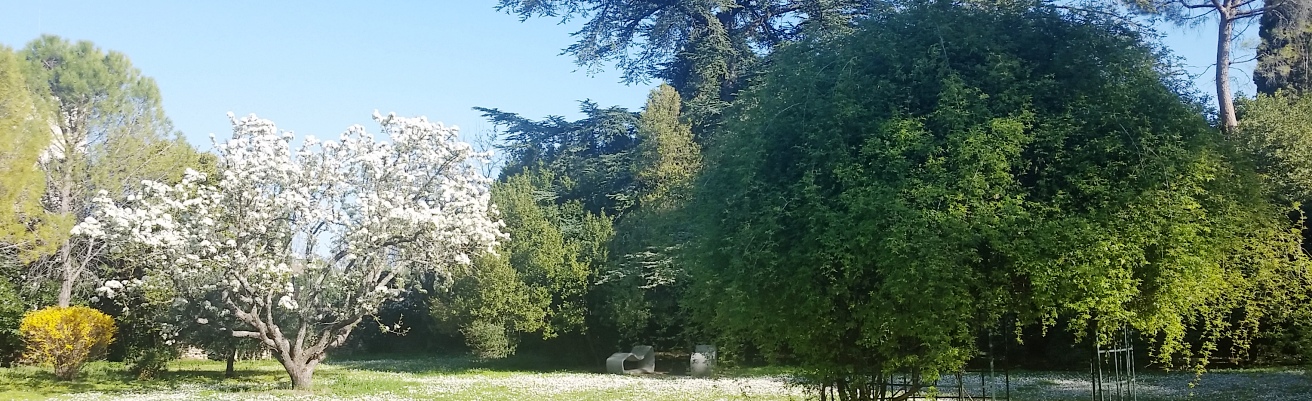 400_20190322_161716