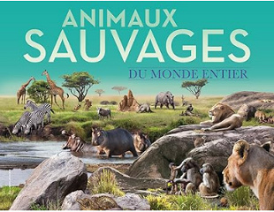 animaux sauvages du monde entier