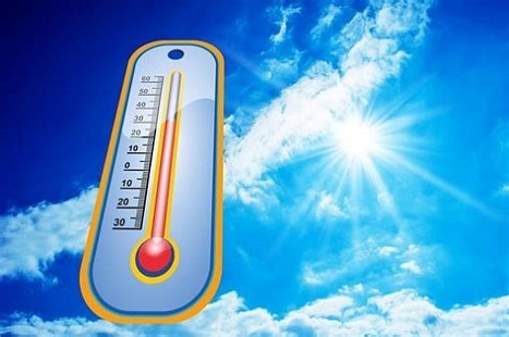 canicule