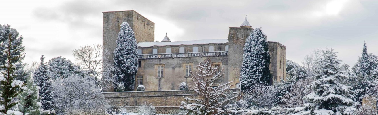 Château sous la neige