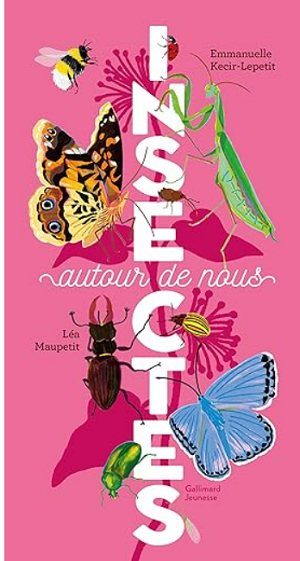 insectes autour de nous