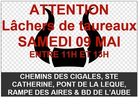 lacher de tauraux