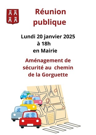 reunion publique