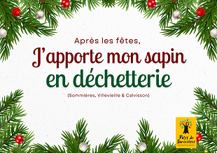 Sapin